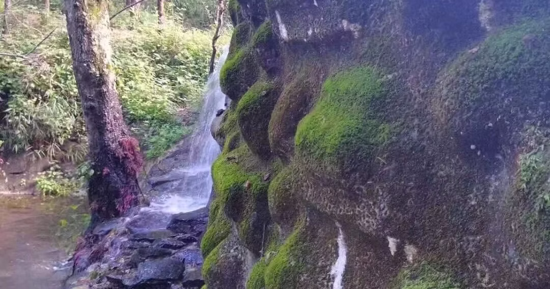 The Sacred Inner Journey of Shamanic Healing - Image 4